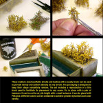 Rosa blühende Sträucher 30-40mm