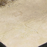 AK Terrains - Light & Dry Crackle Effects 100ml