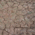 AK Terrains - Wet Crackle Effects 100ml