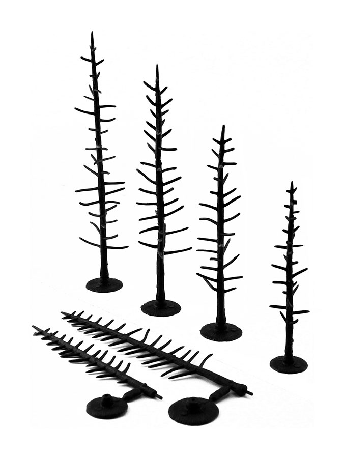 Kiefern (10-15cm) 44 Stück