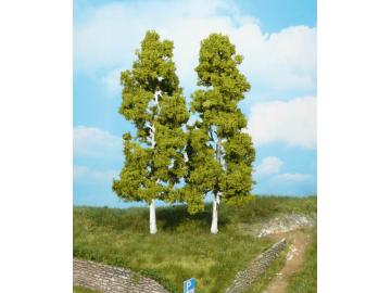 Birken (2) 18cm