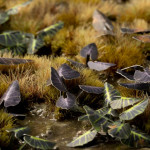 Black-Magic Taro