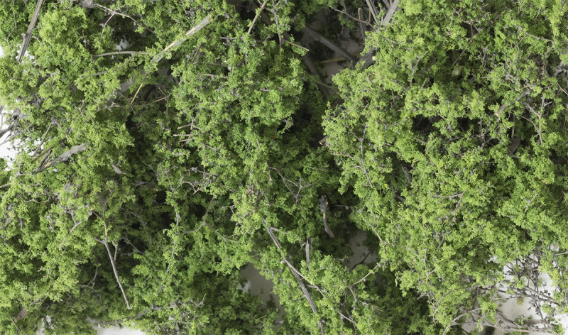 Fine Leaf Foliage - mittelgrün
