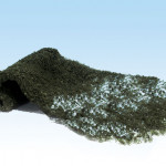 Foliage - conifer green