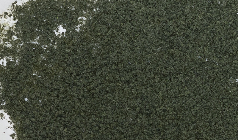 Foliage - conifer green