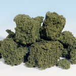 Foliage Clusters - hellgrün