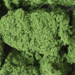 Foliage Clusters - medium green