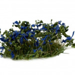 Blue Flowers - Gamers Gras