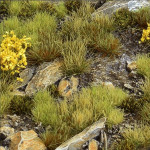 Highland Tuft Set - Gamers Grass Tufts