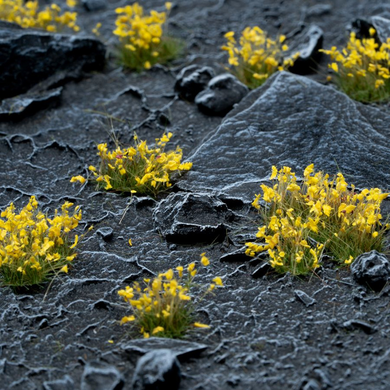 Yellow Flowers - Gamers Gras
