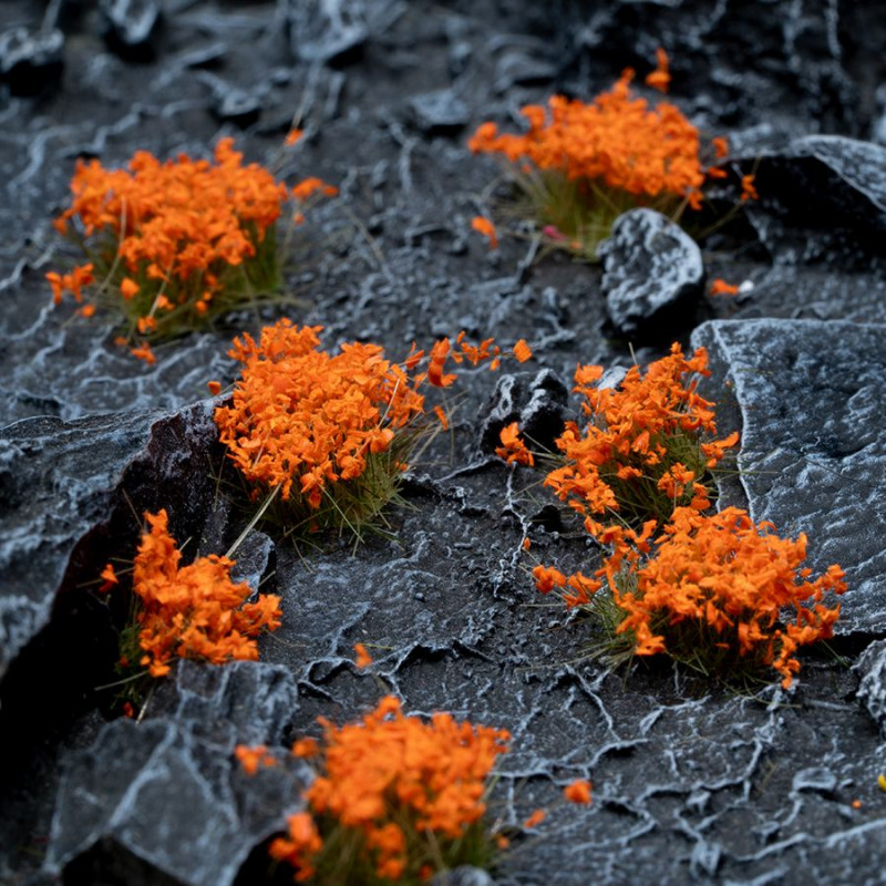 Orange Flowers - Gamers Gras