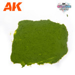 Plaque Ground 100ml