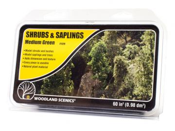 Shrubs & Saplings Light Green