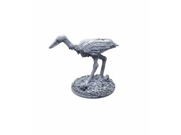 Storch